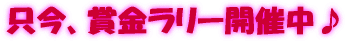 �܋������[�J�Ò� 